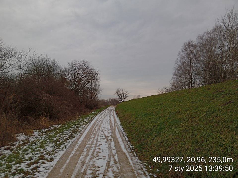 Zdjęcie 6