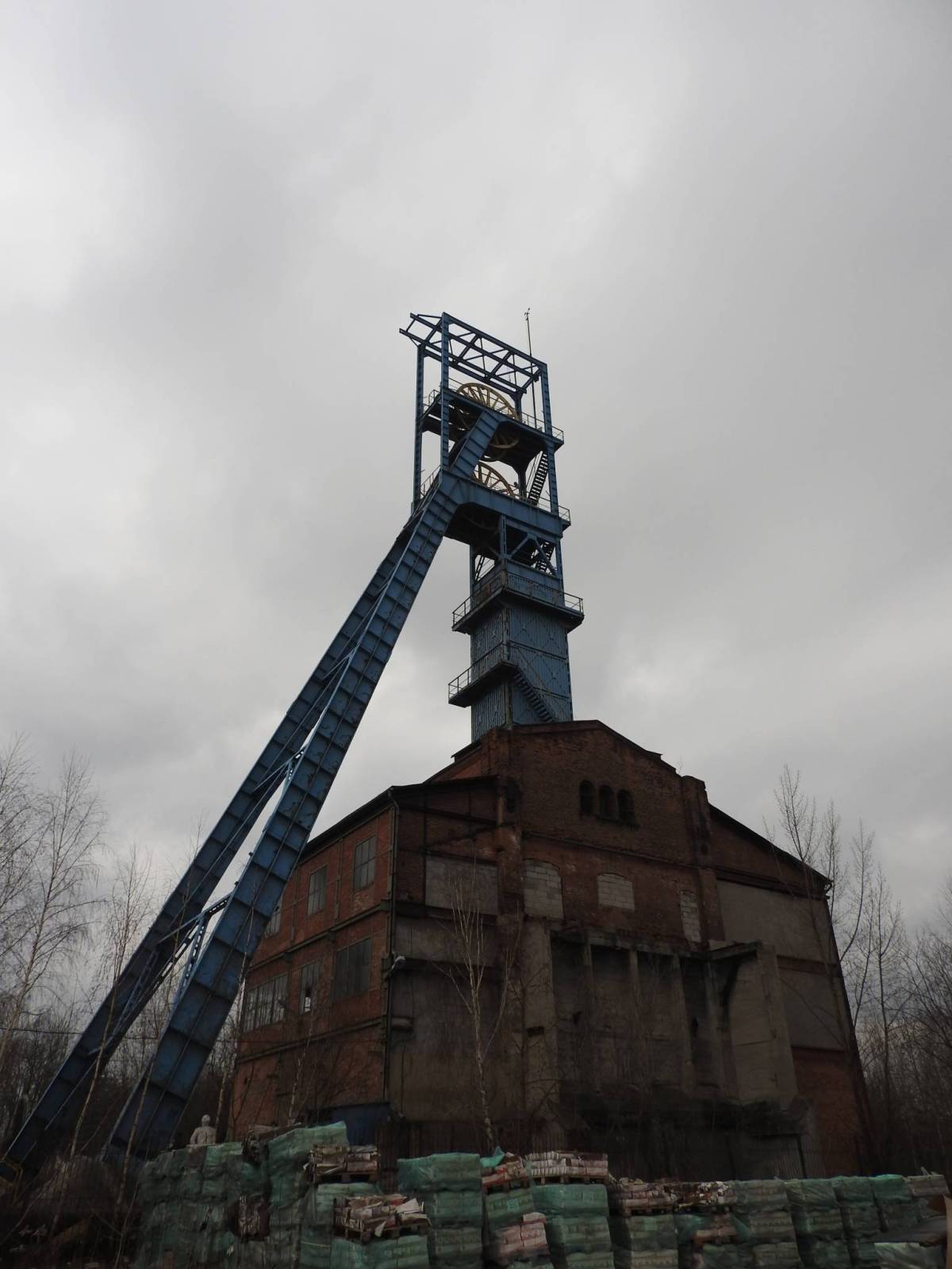 Zdjęcie 5