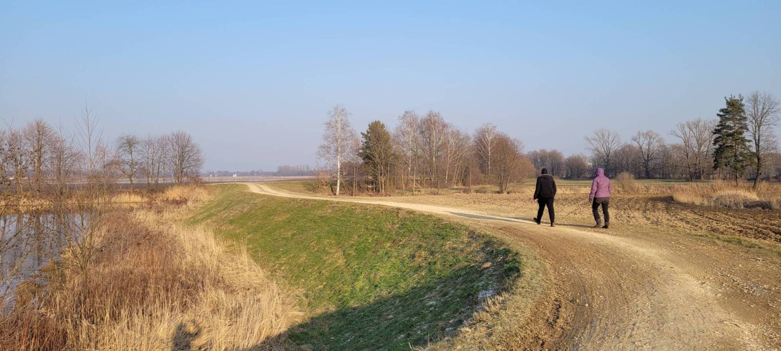 Zdjęcie 6