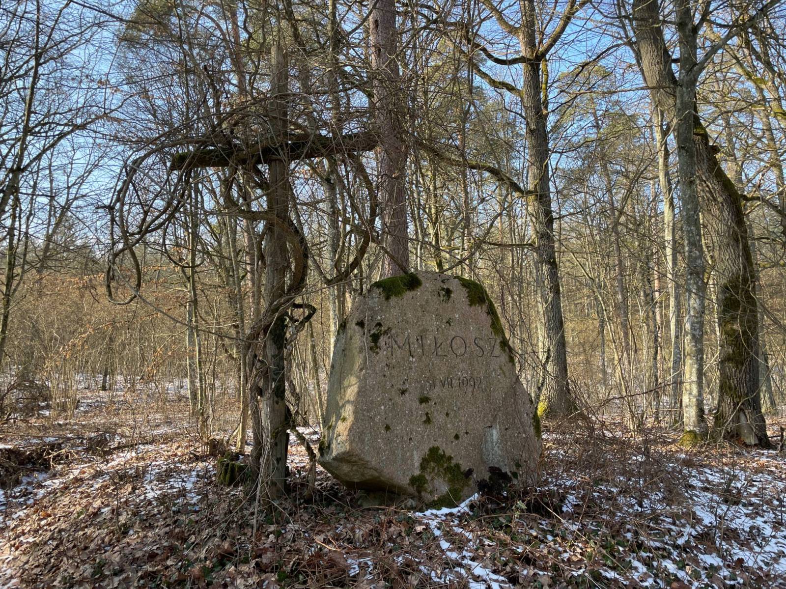 Zdjęcie 3