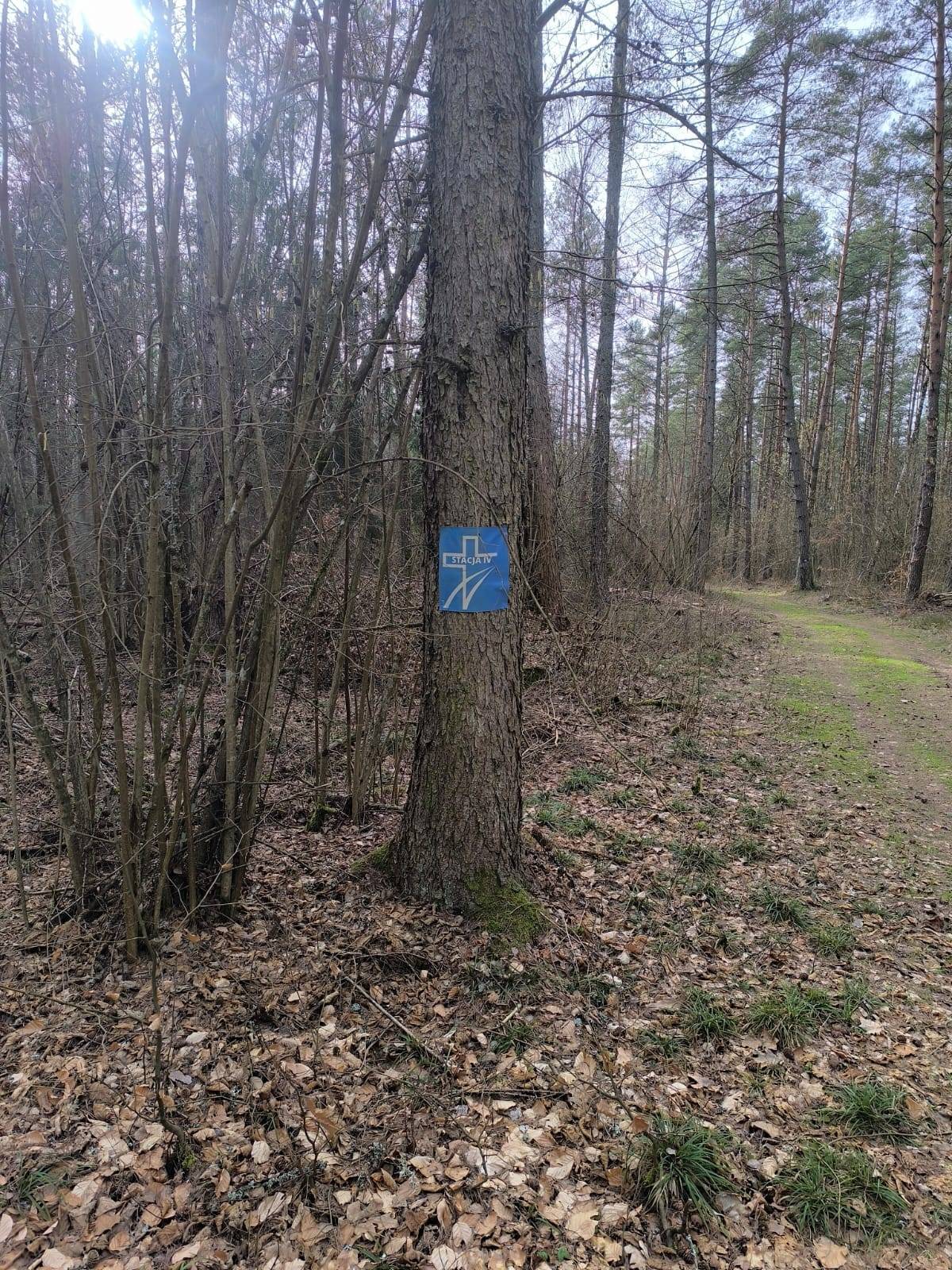 Zdjęcie 2