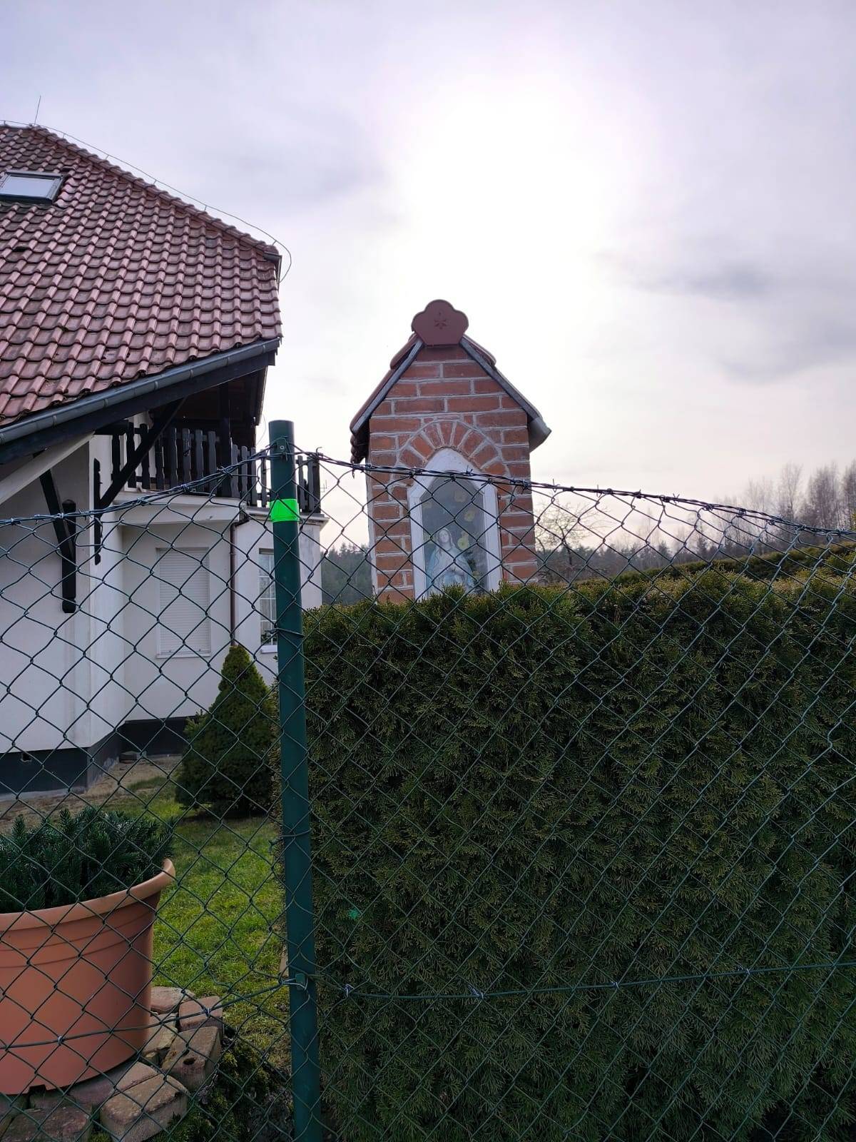 Zdjęcie 3