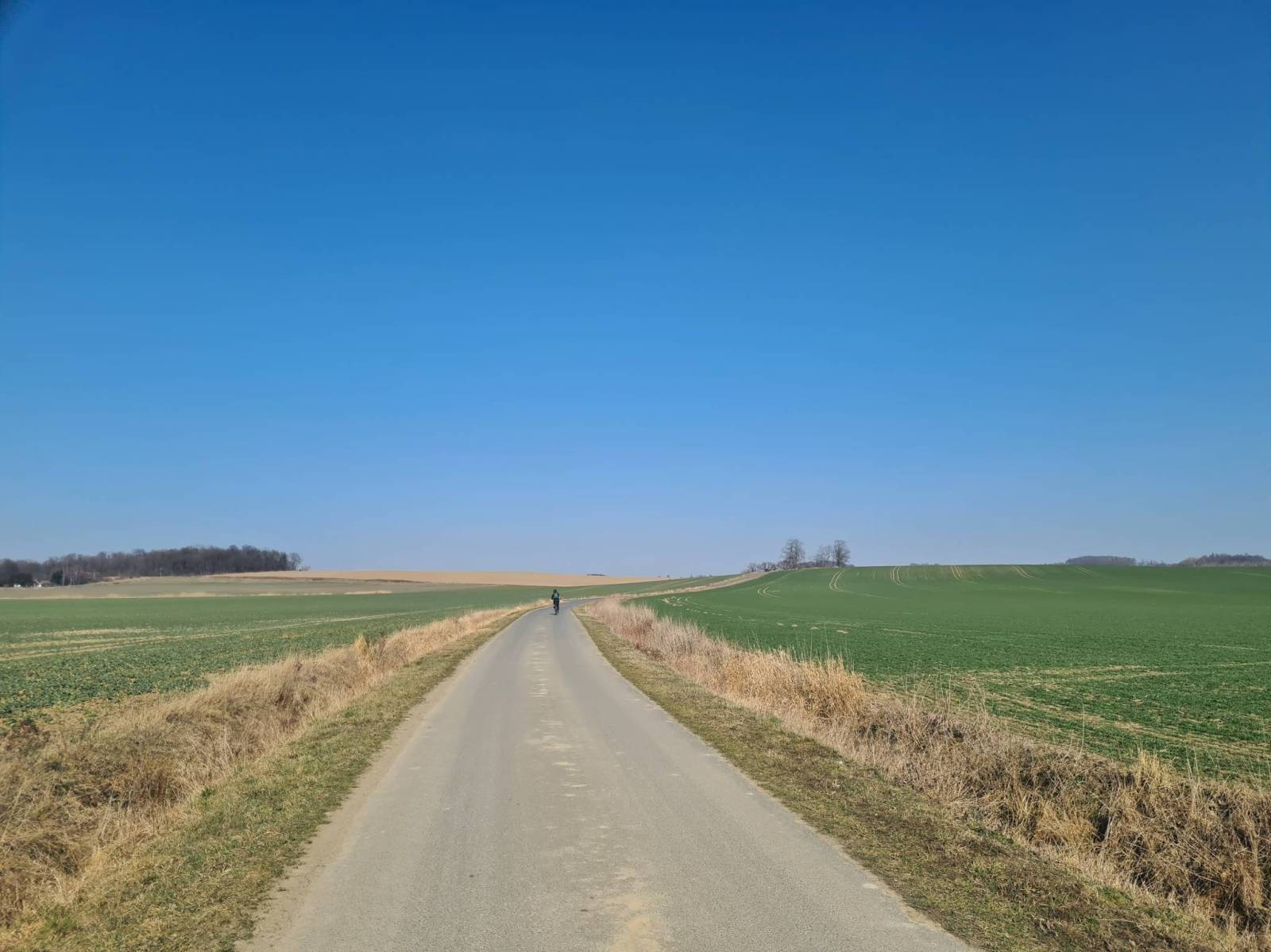 Zdjęcie 4