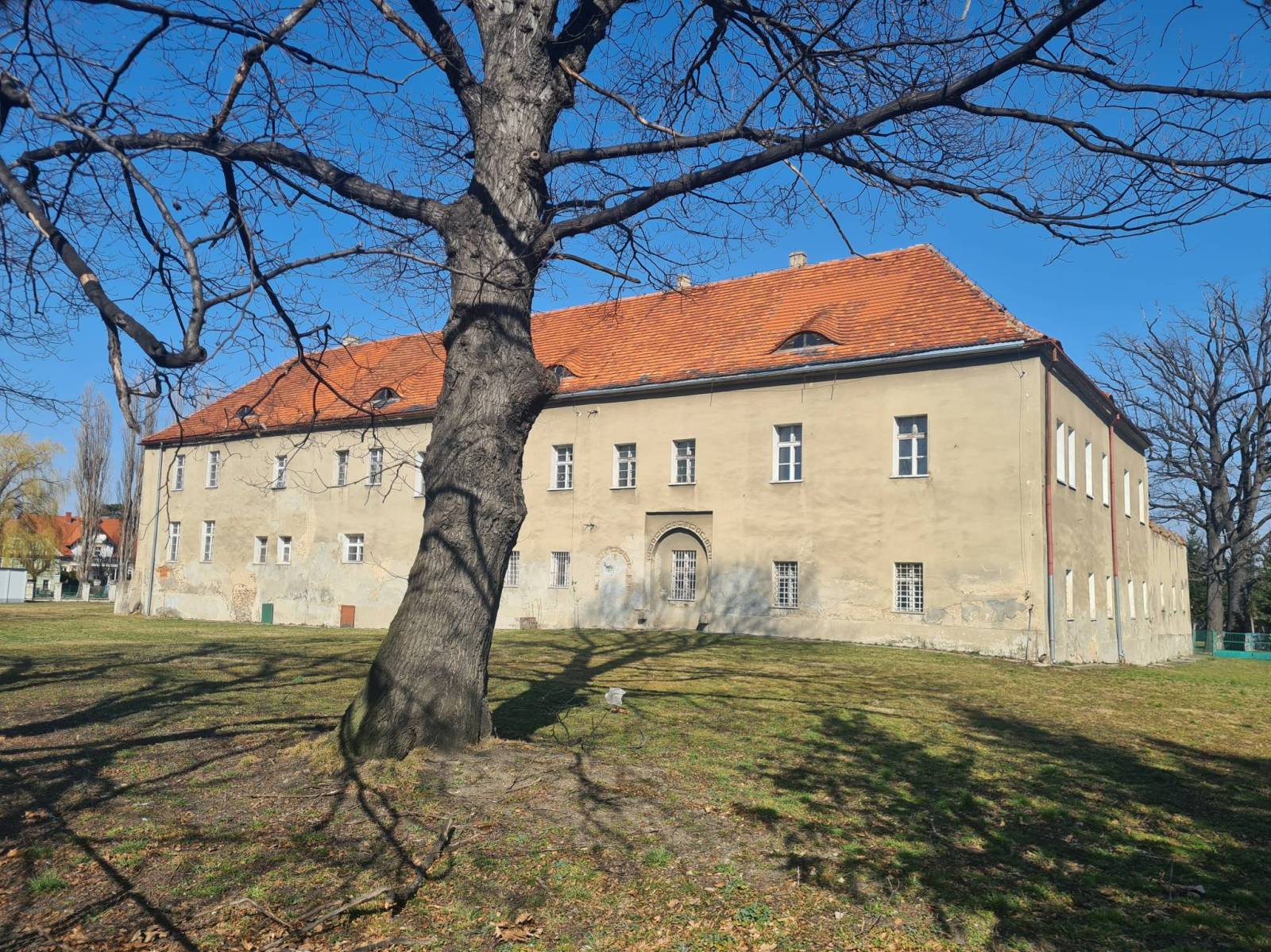 Zdjęcie 6