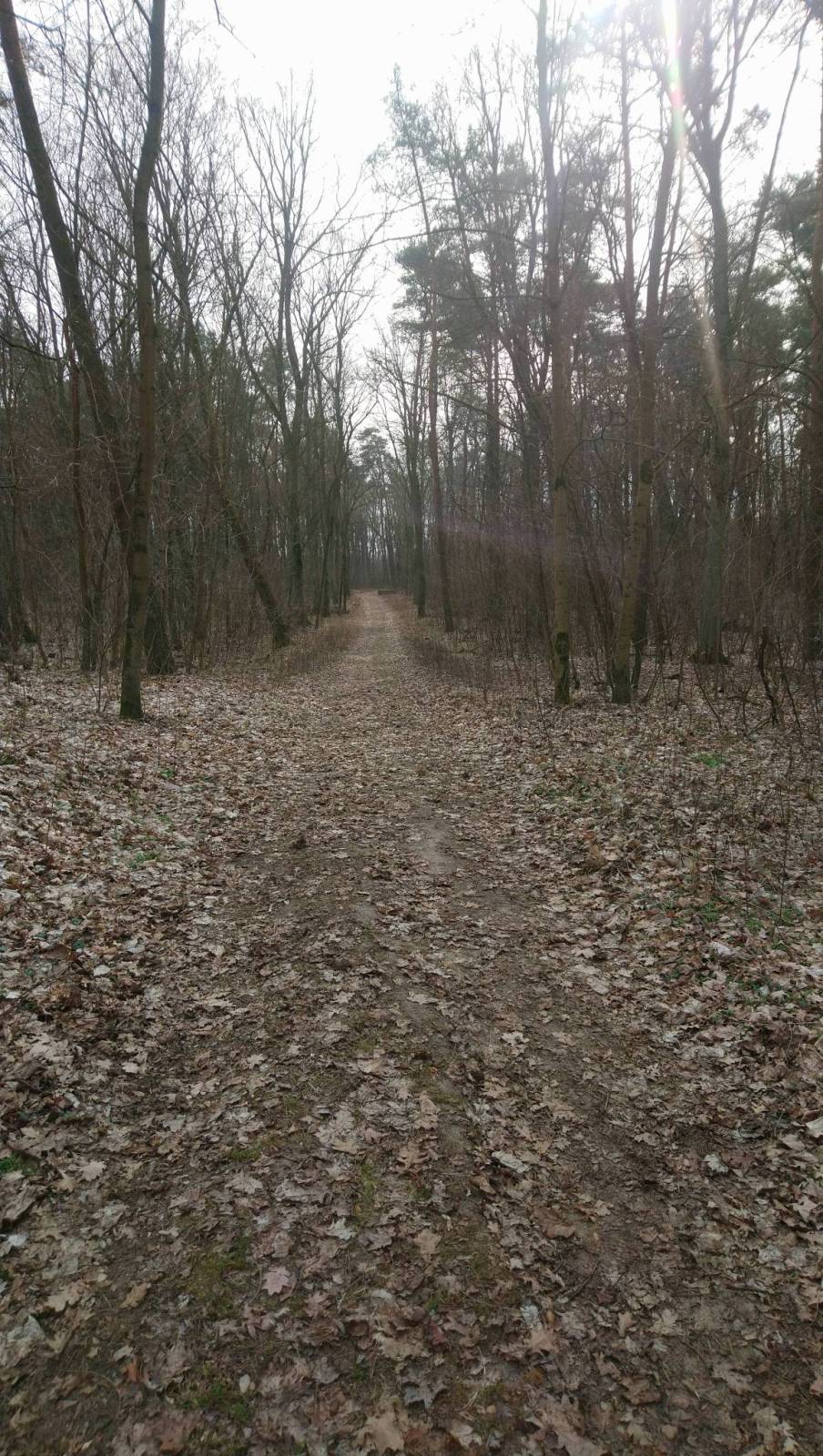 Zdjęcie 4