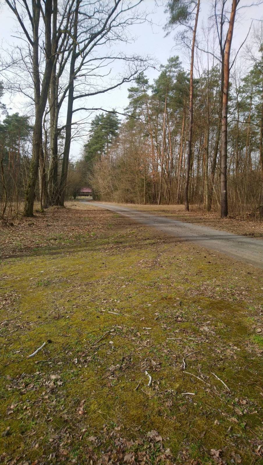 Zdjęcie 6