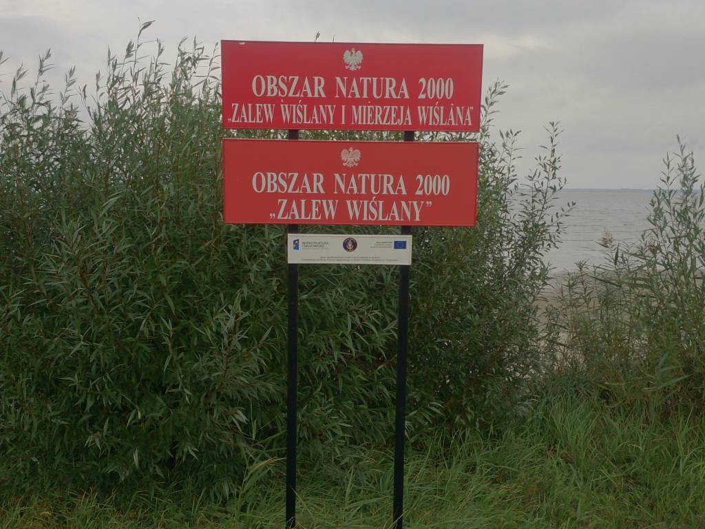 Zdjęcie 2