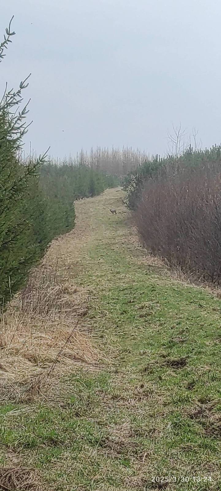 Zdjęcie 4