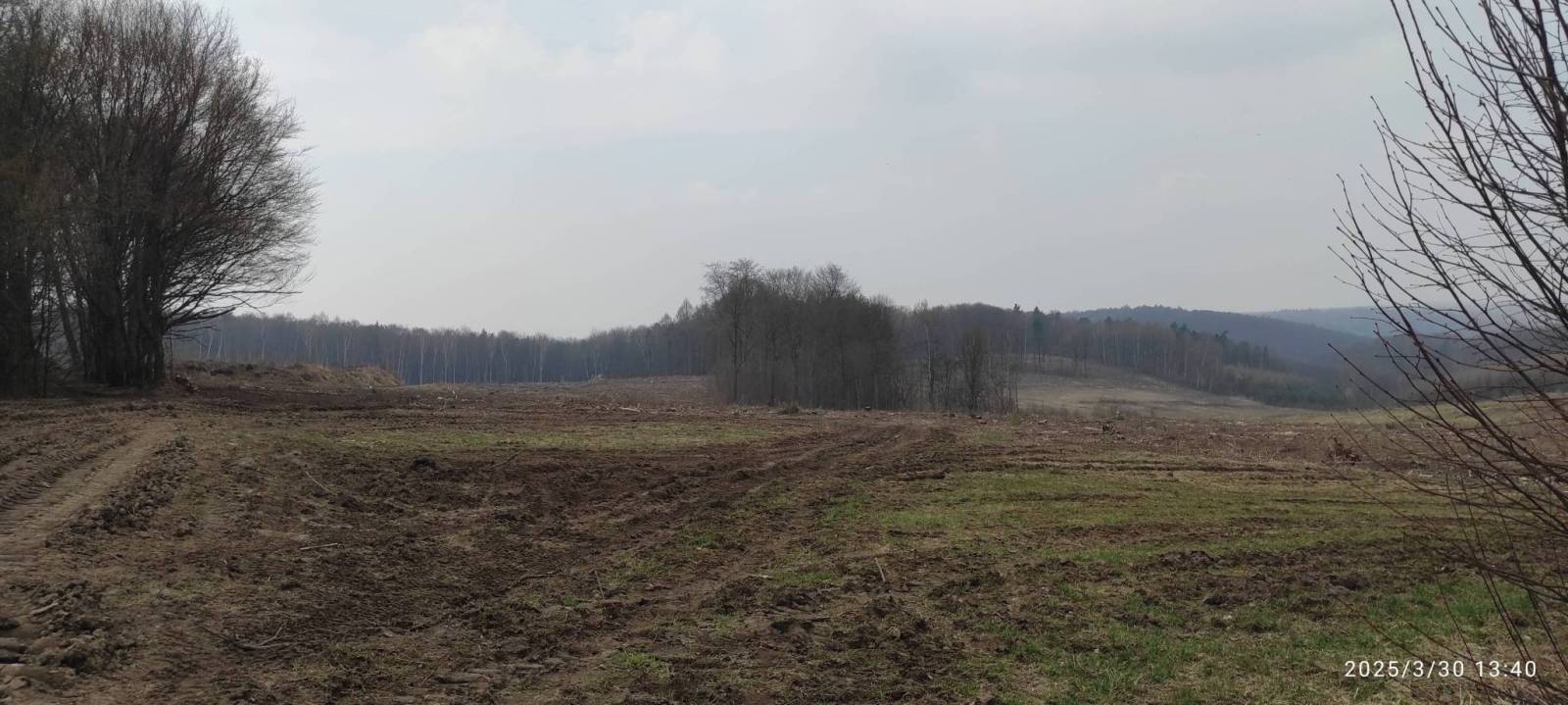 Zdjęcie 3