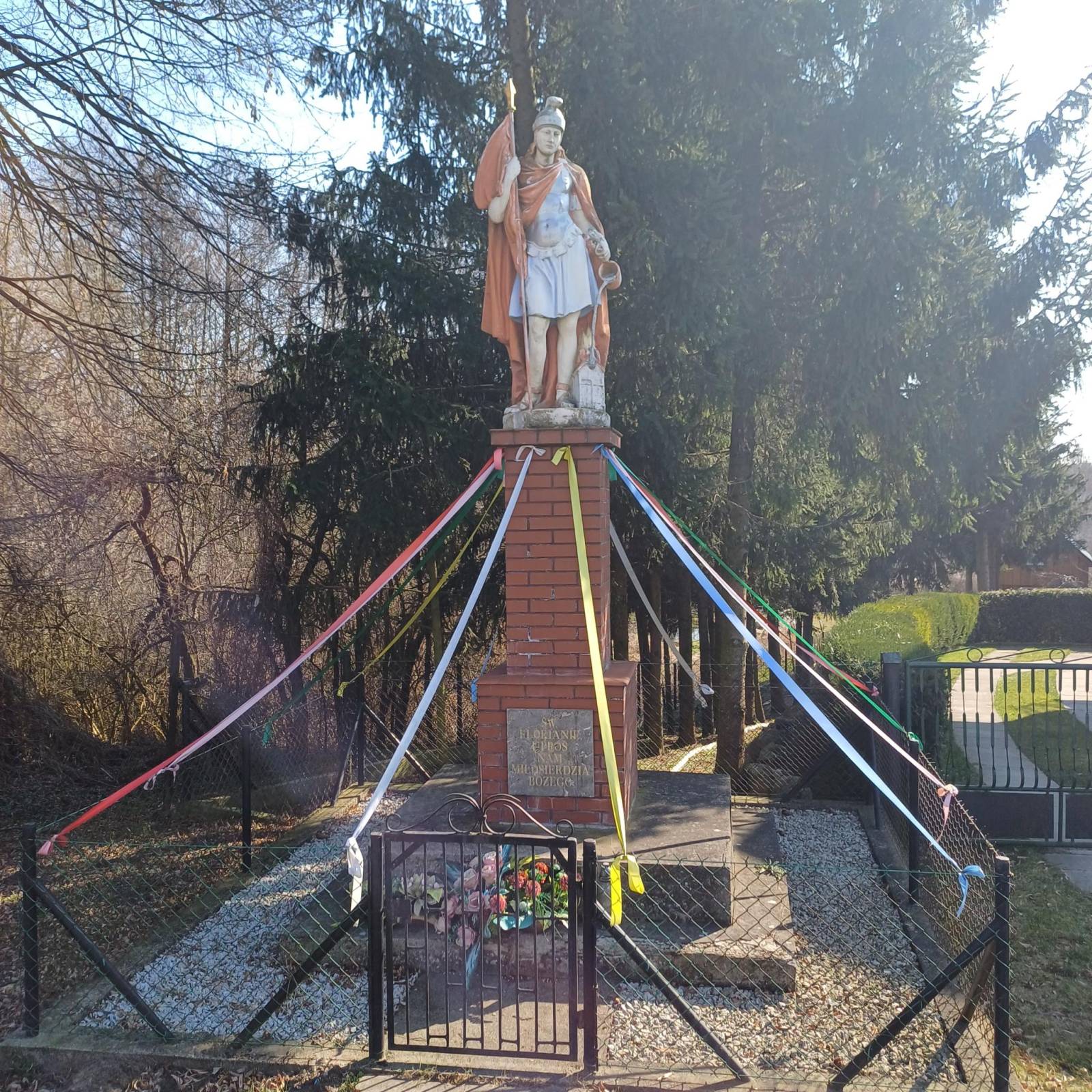 Zdjęcie 6