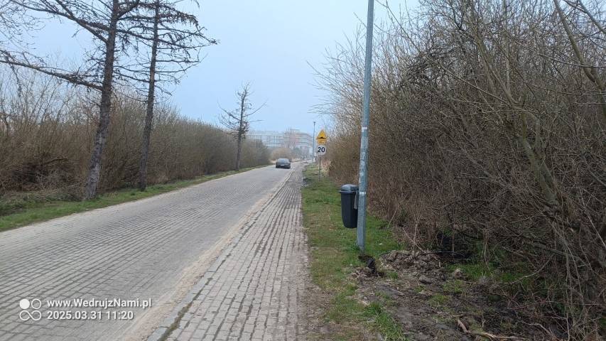 Zdjęcie 6