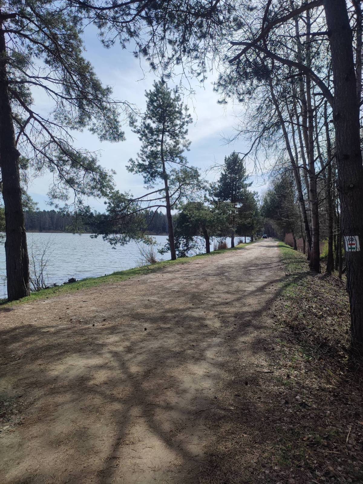 Zdjęcie 3