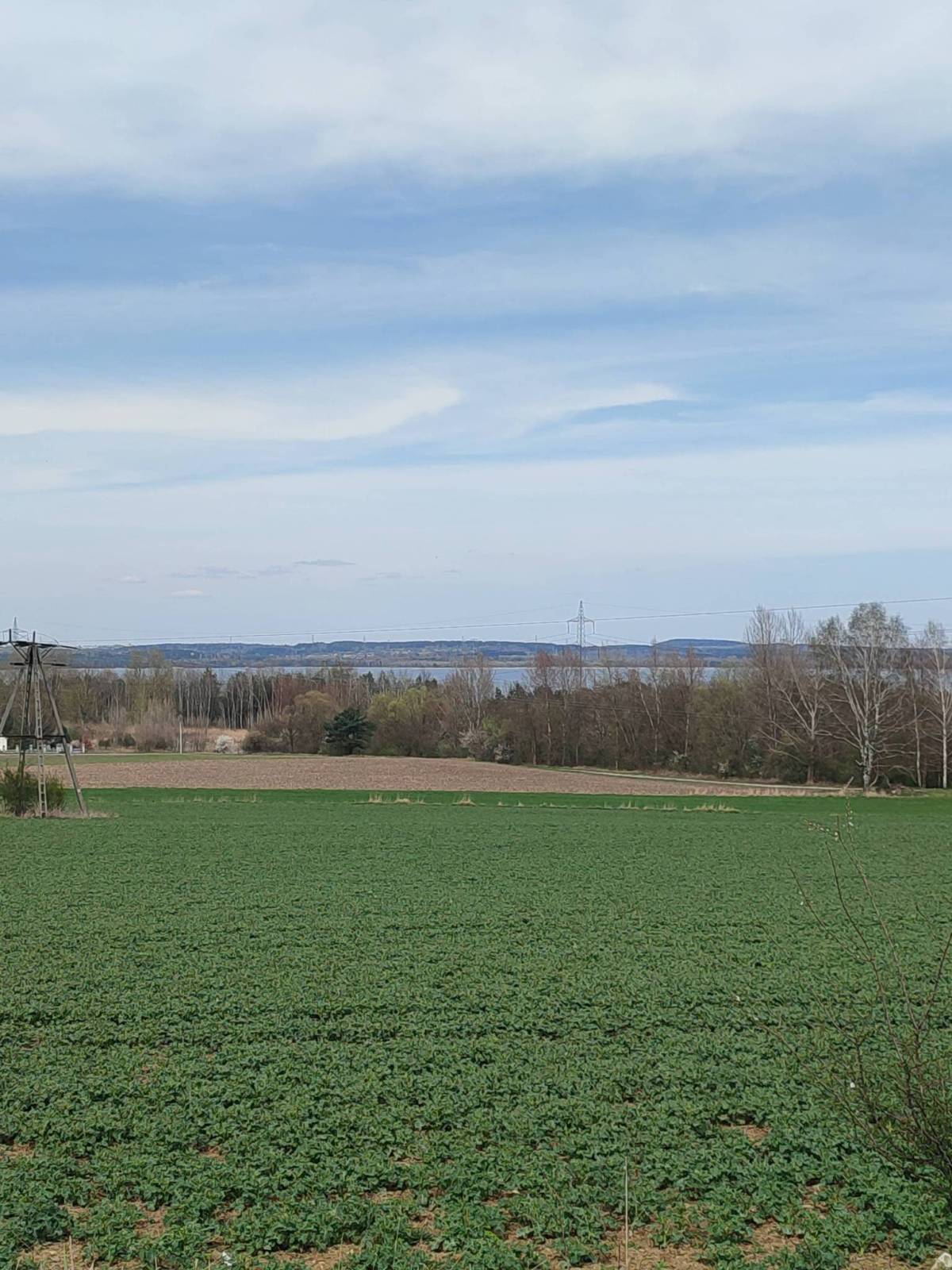 Zdjęcie 6