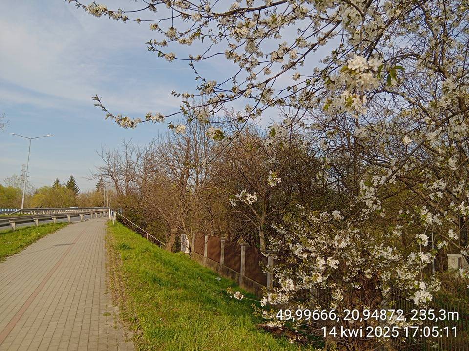 Zdjęcie 2