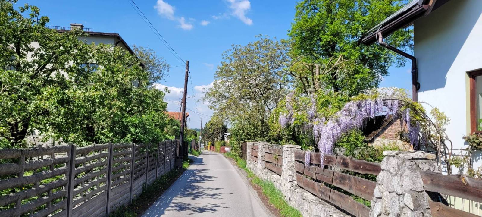 Zdjęcie 2