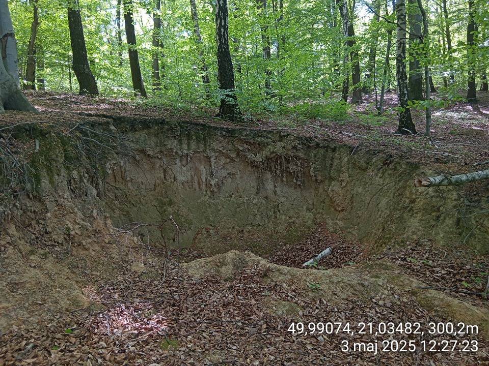 Zdjęcie 6