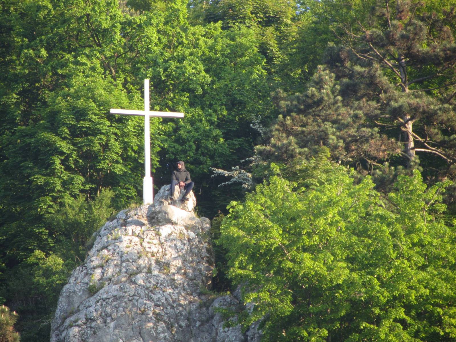 Zdjęcie 4