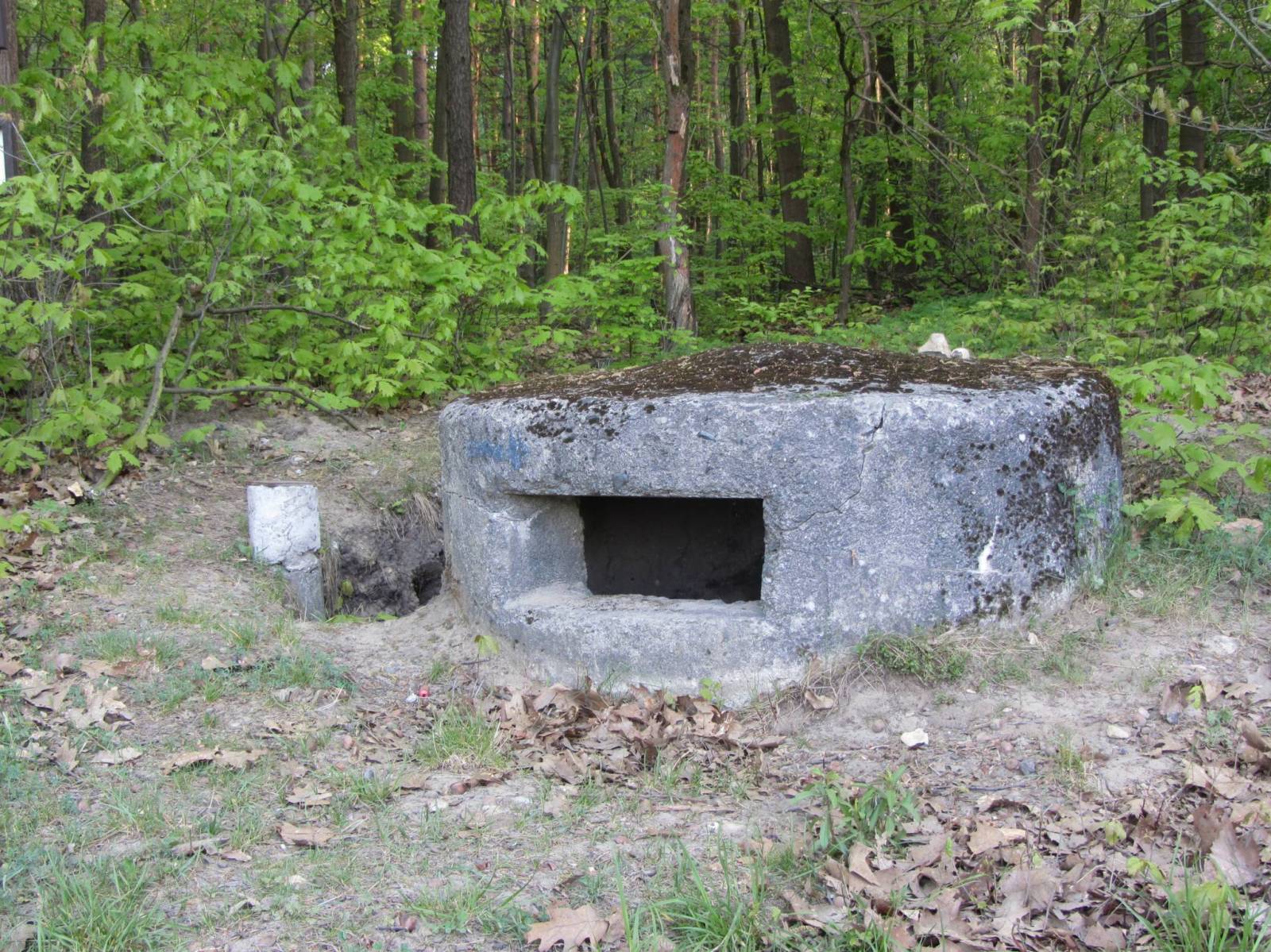 Zdjęcie 5