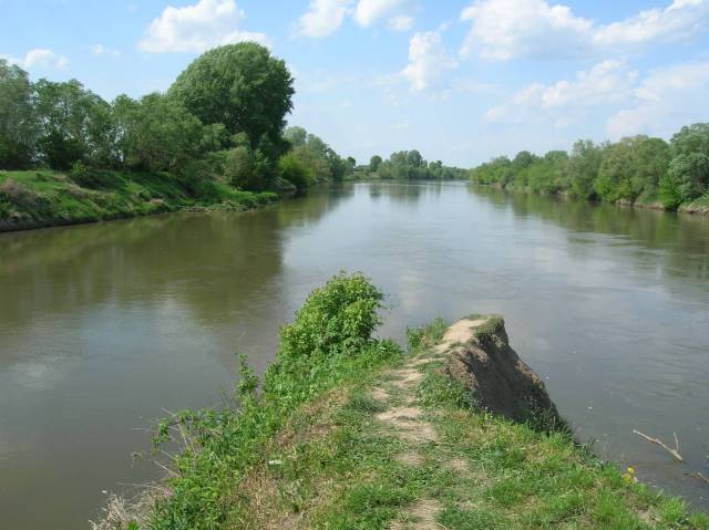 thumb-image