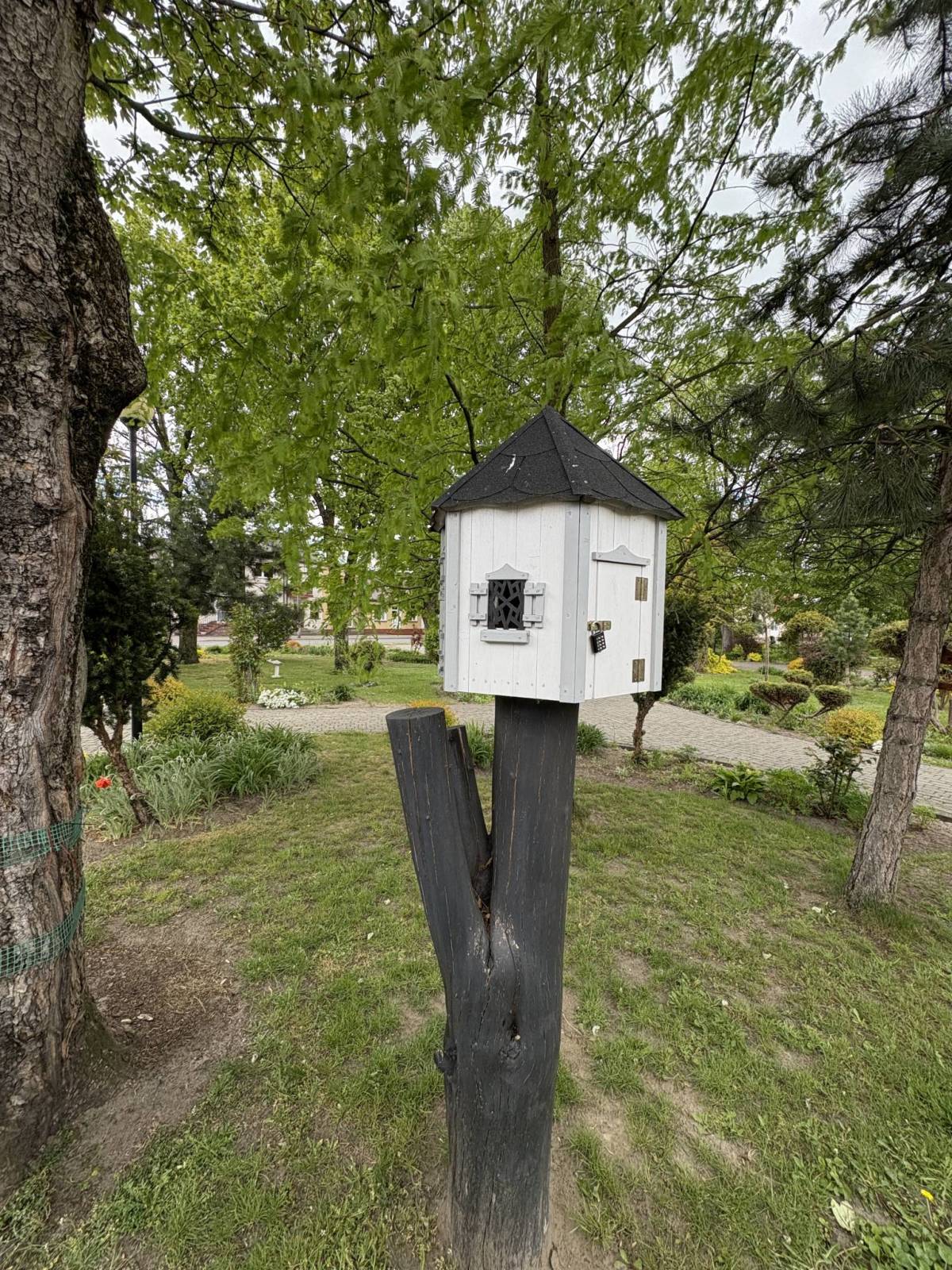 Zdjęcie 5