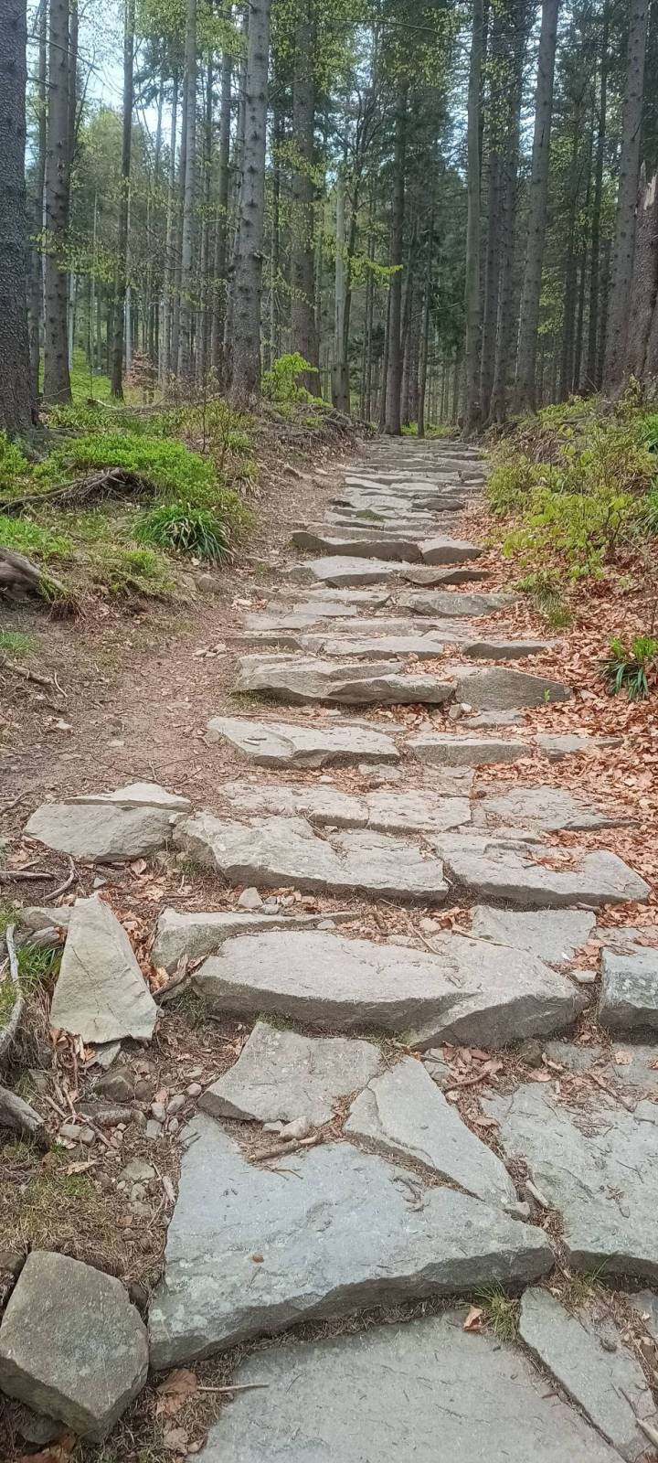 Zdjęcie 2