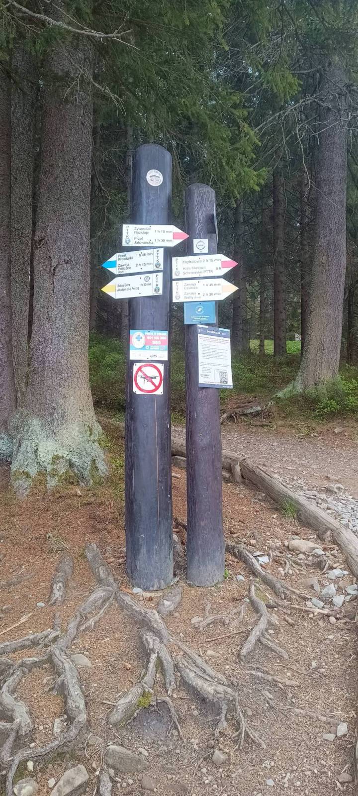 Zdjęcie 6