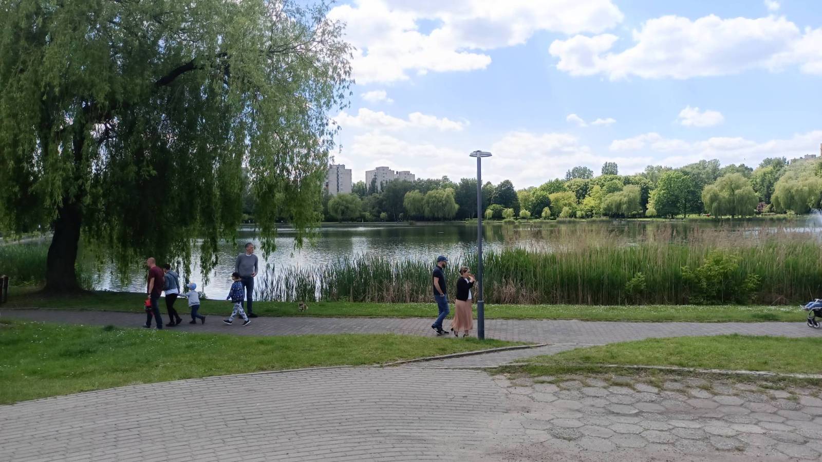 Zdjęcie 6
