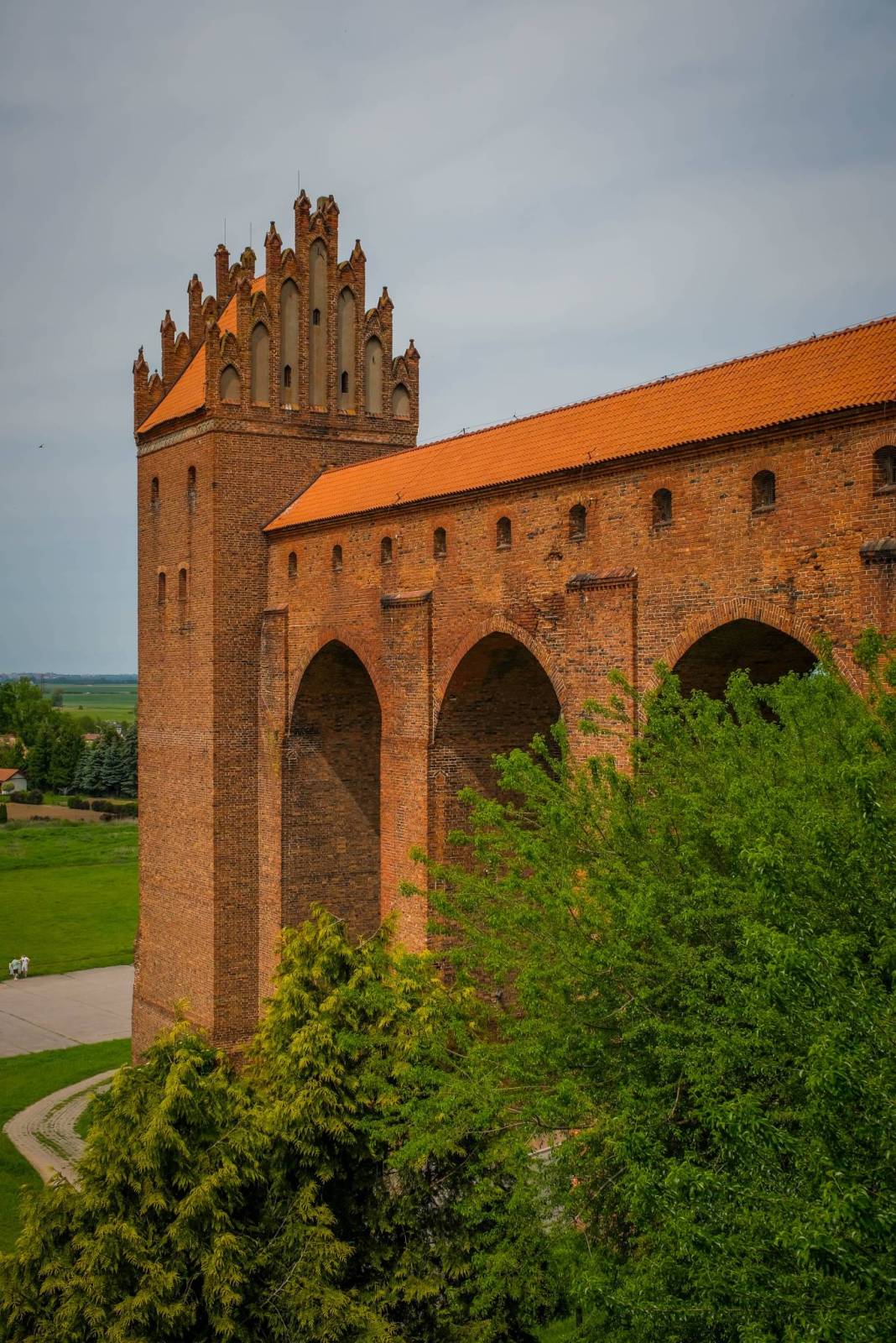 Zdjęcie 6