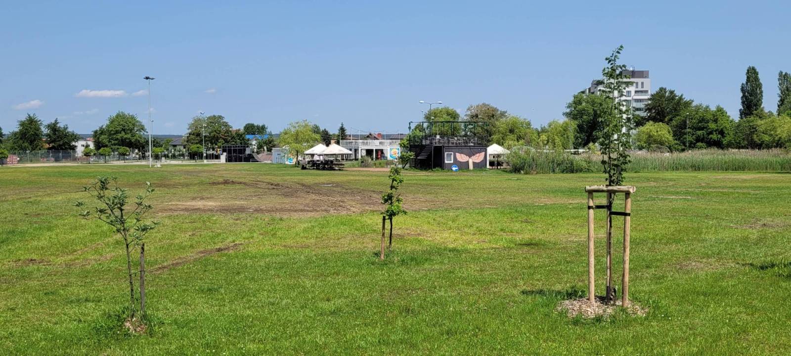 Zdjęcie 5