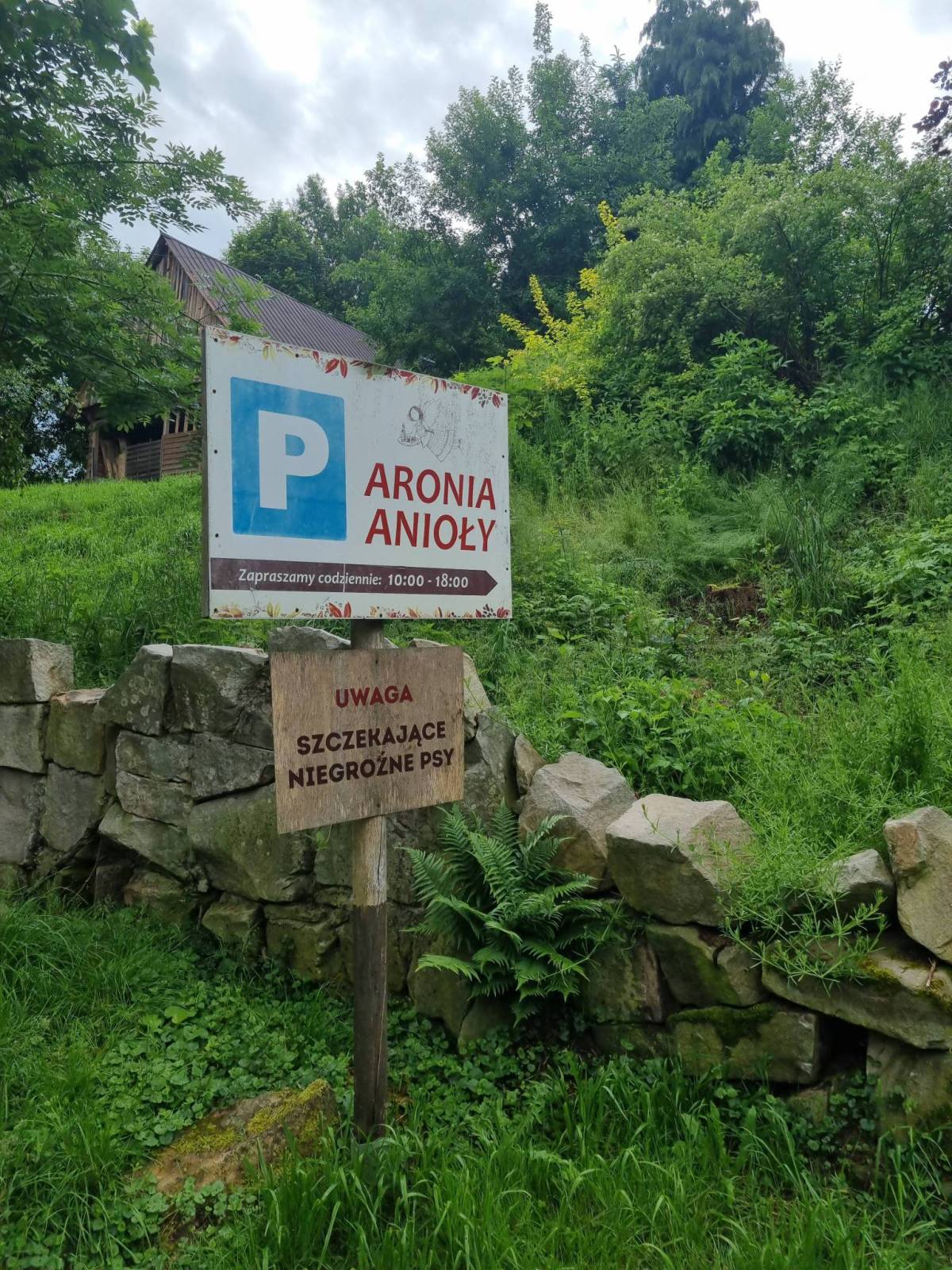 Zdjęcie 5