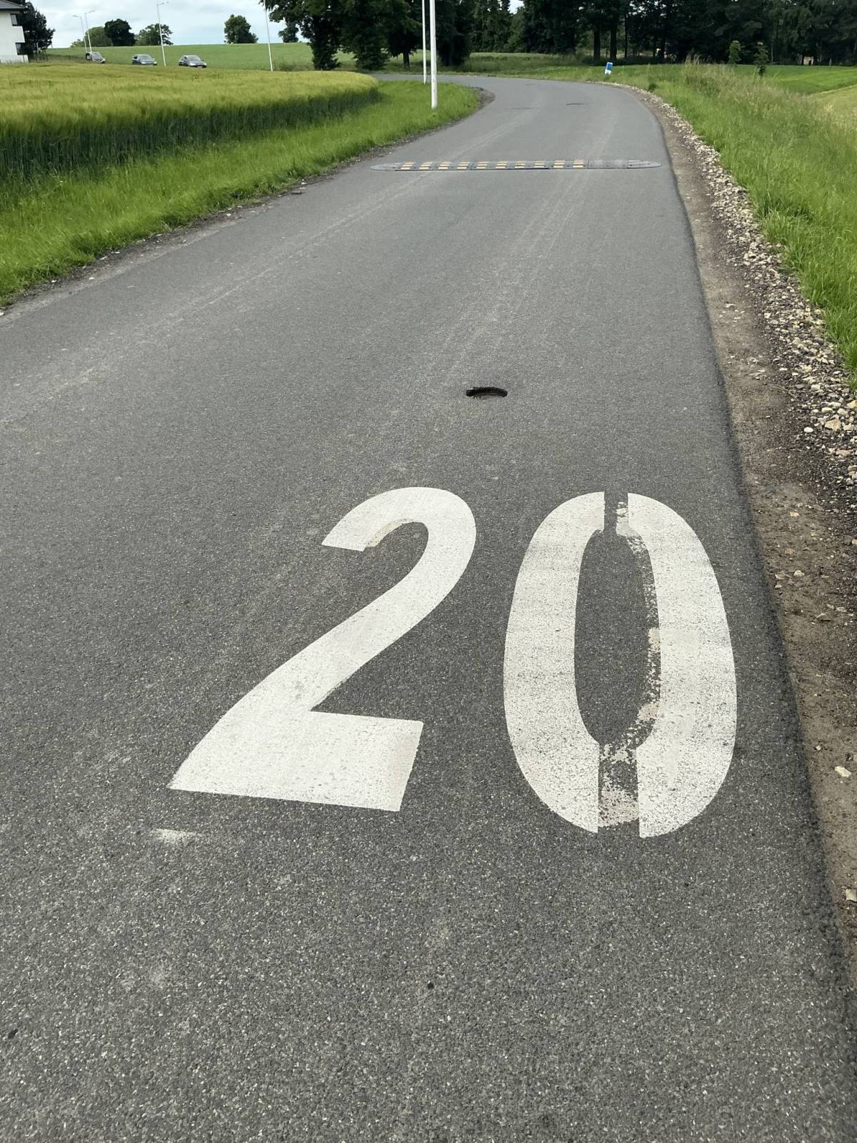 Zdjęcie 5