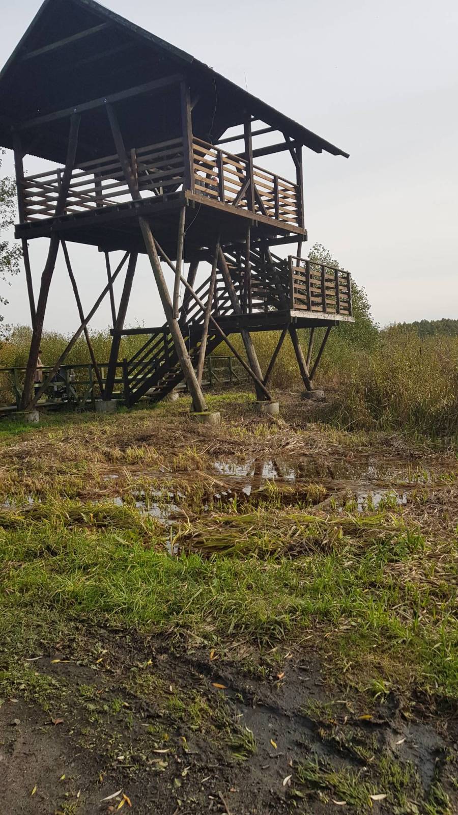 Zdjęcie 6