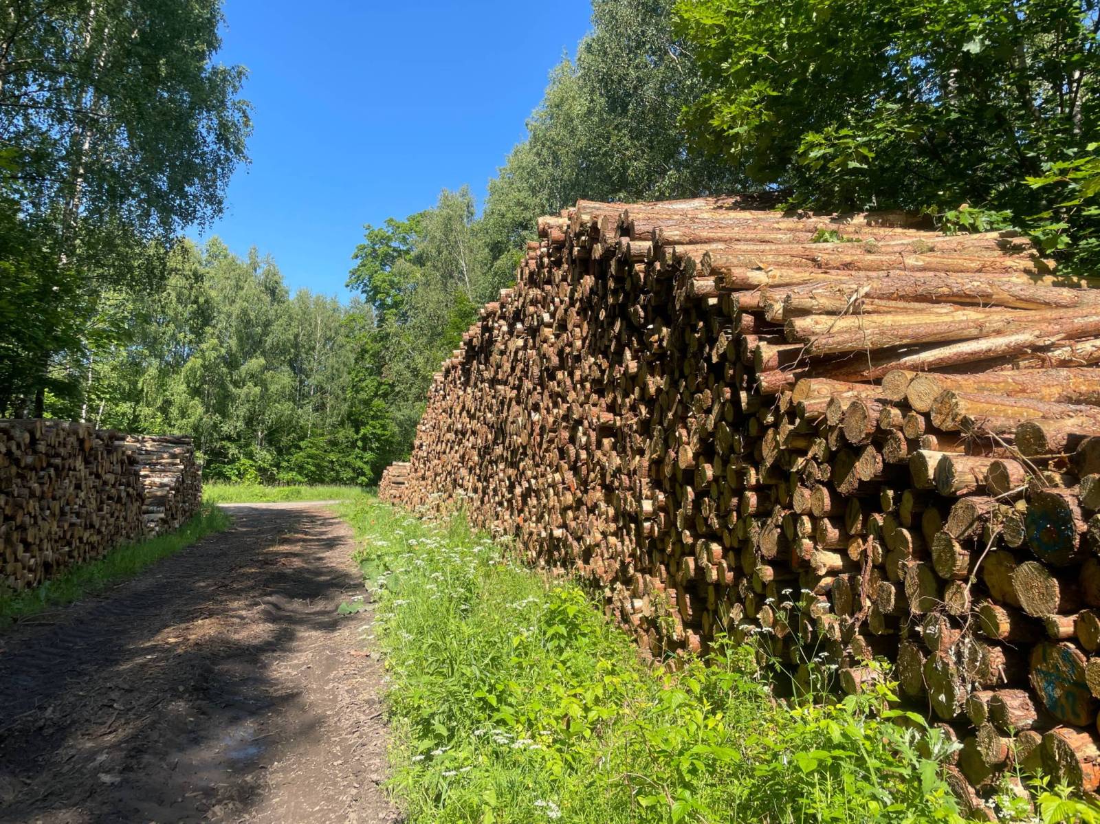 Zdjęcie 5