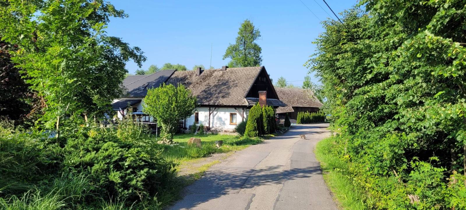 Zdjęcie 6