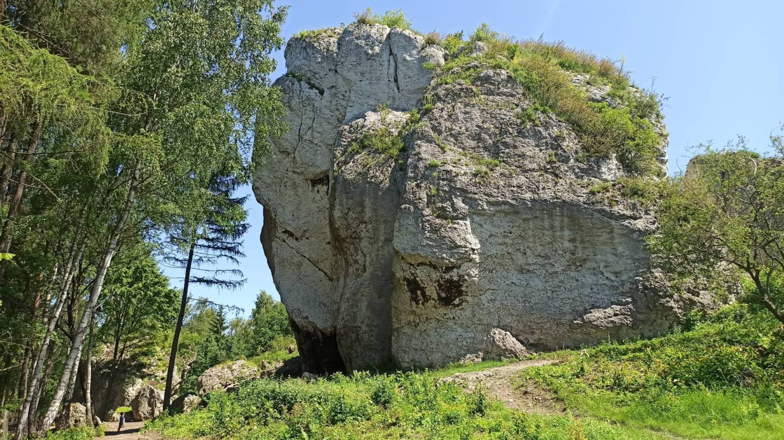 Zdjęcie 6