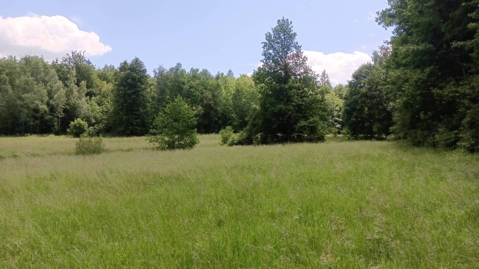 Zdjęcie 3