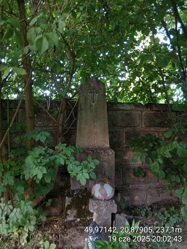 Zdjęcie 6