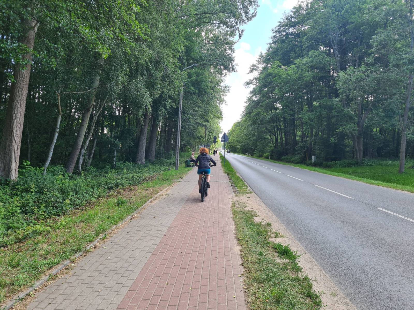 Zdjęcie 5