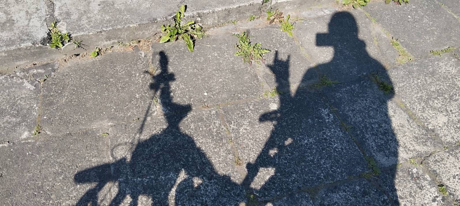 Zdjęcie 2