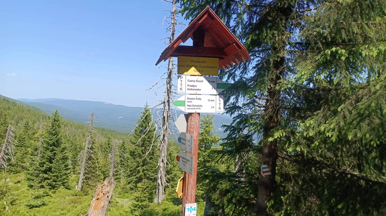 Zdjęcie 5