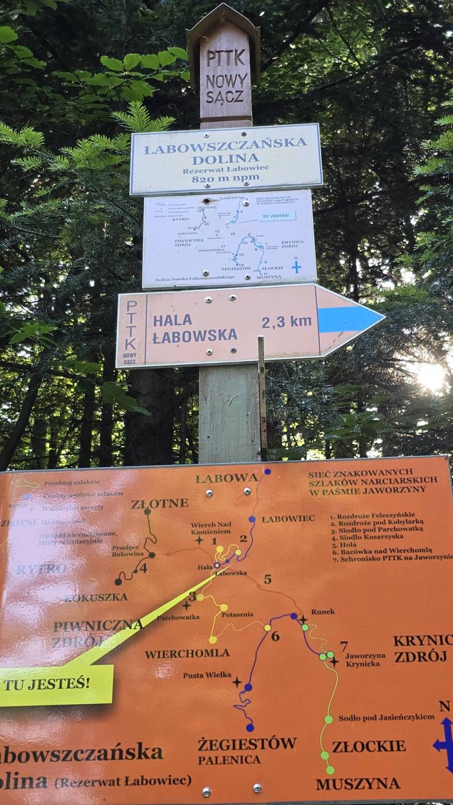 Zdjęcie 5