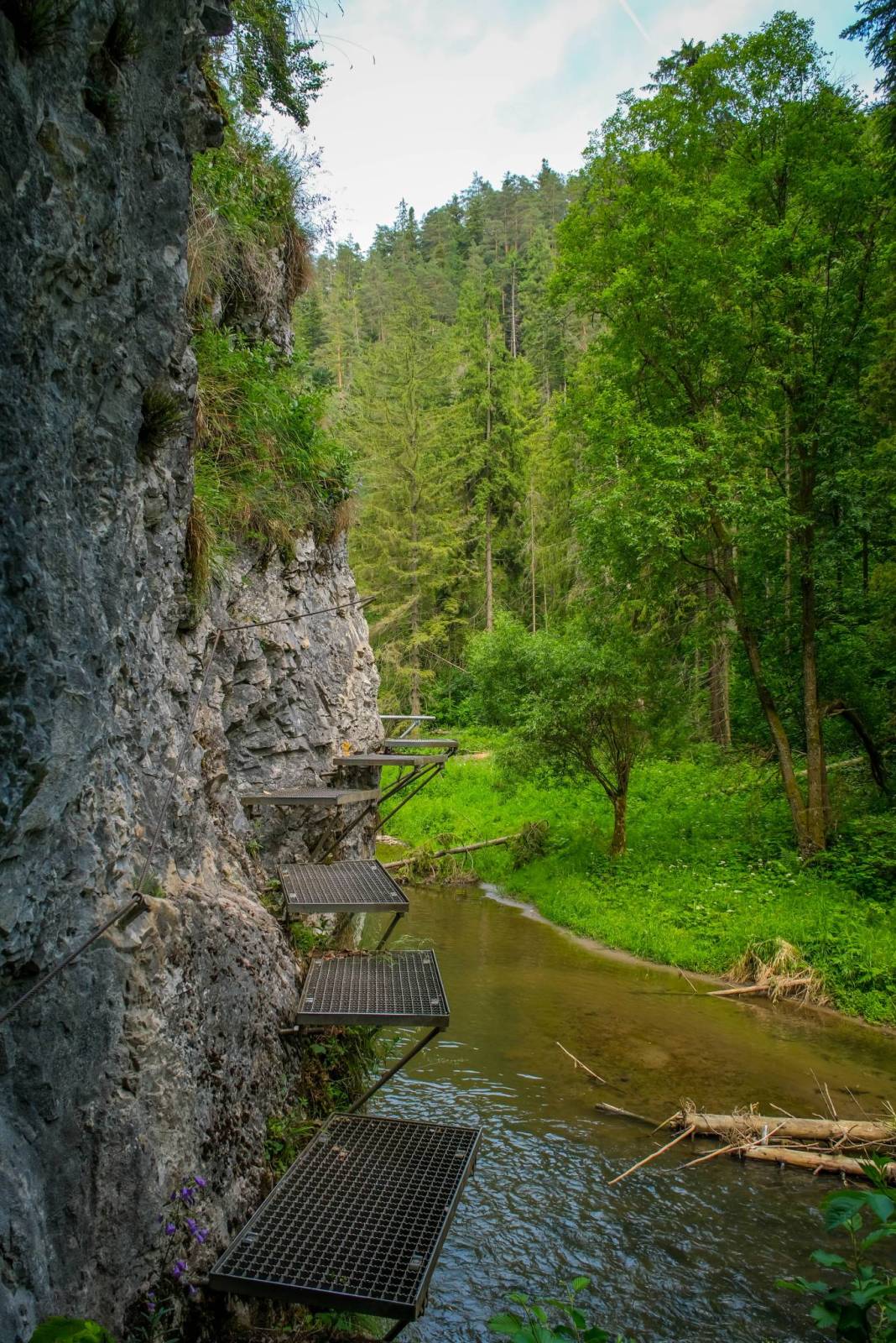 Zdjęcie 5