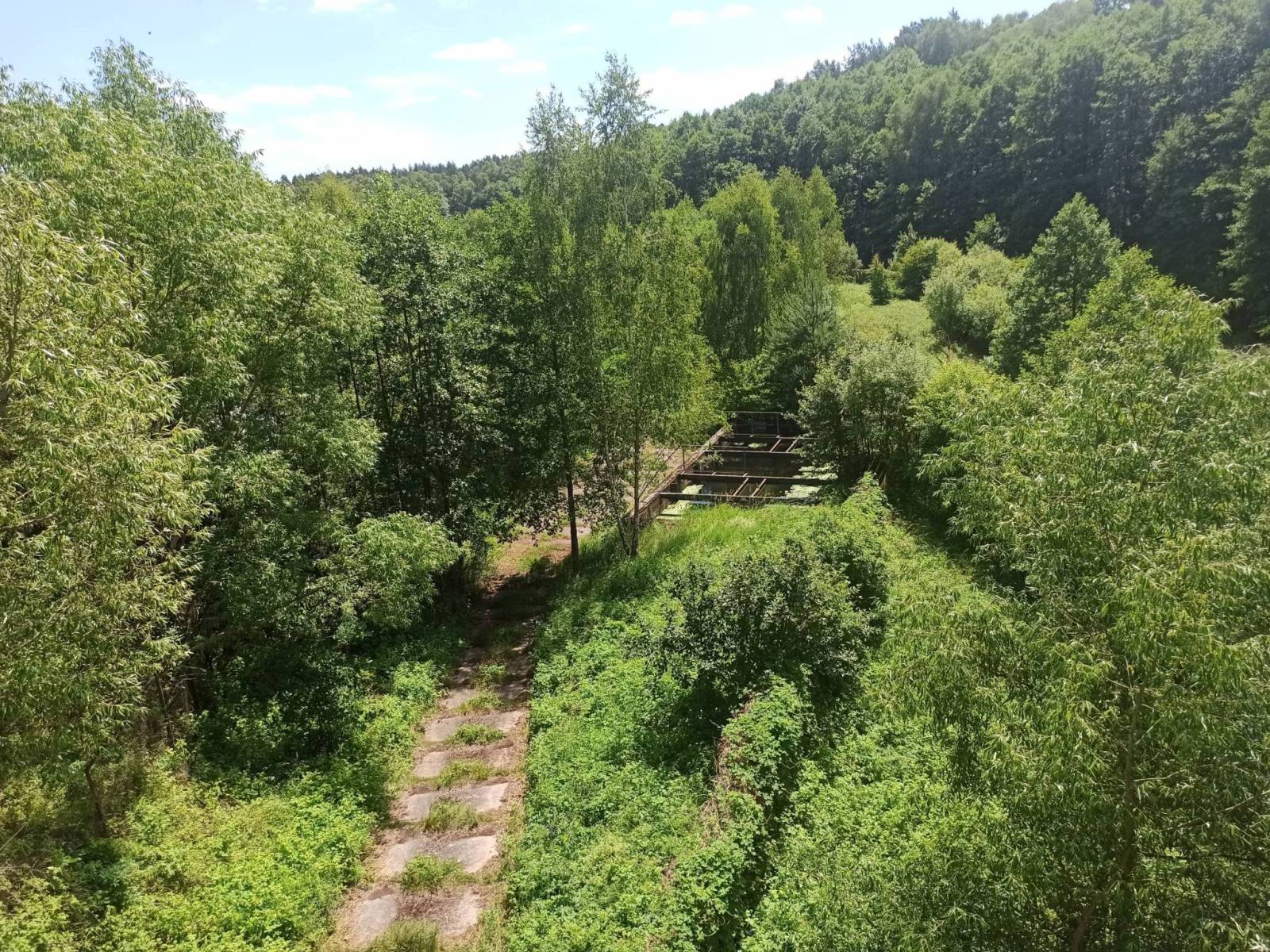Zdjęcie 4