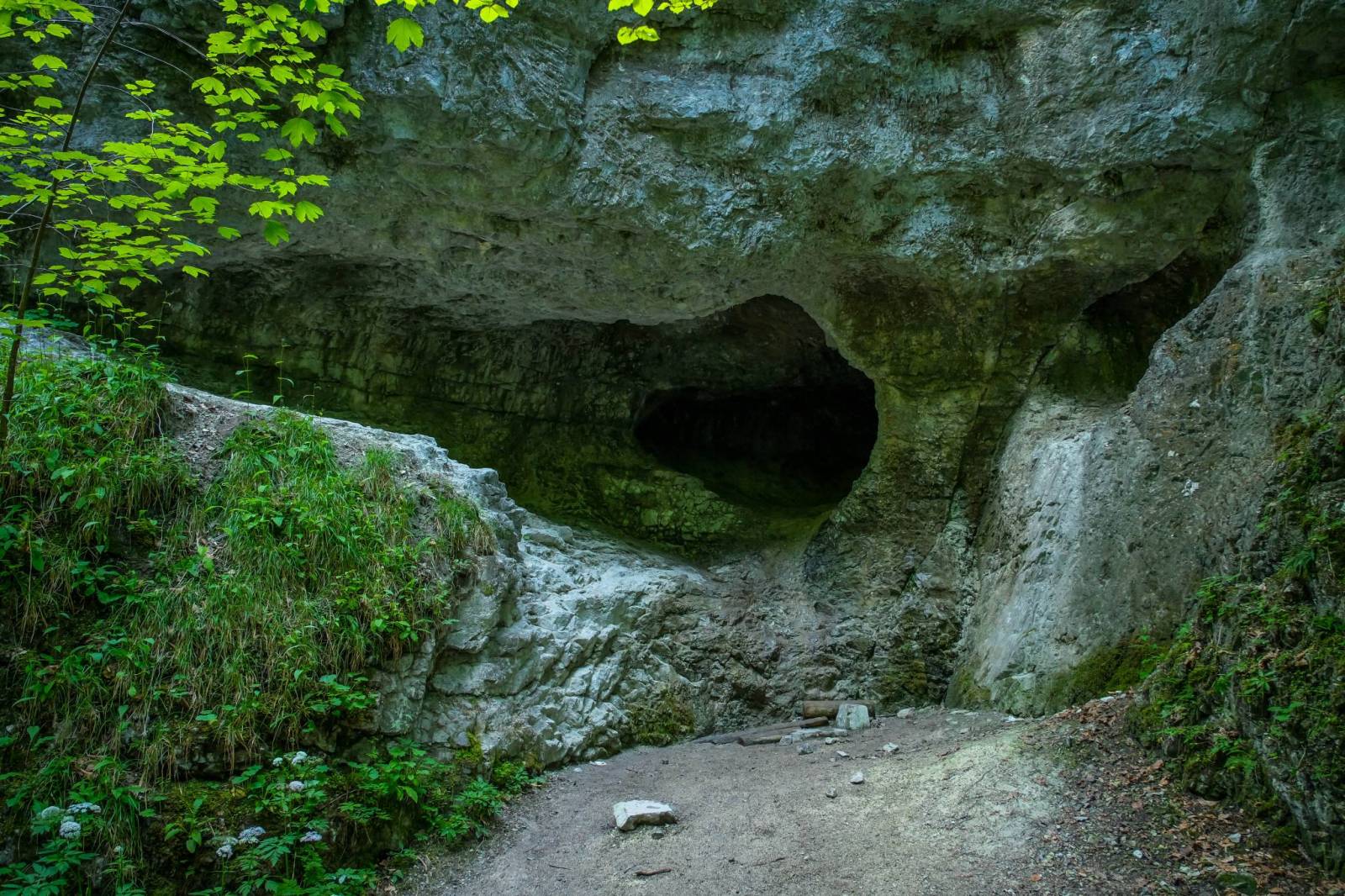 Zdjęcie 5
