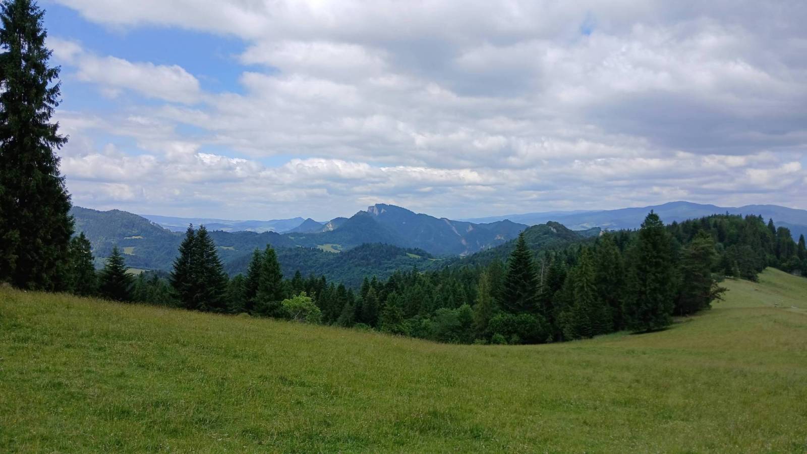 Zdjęcie 4