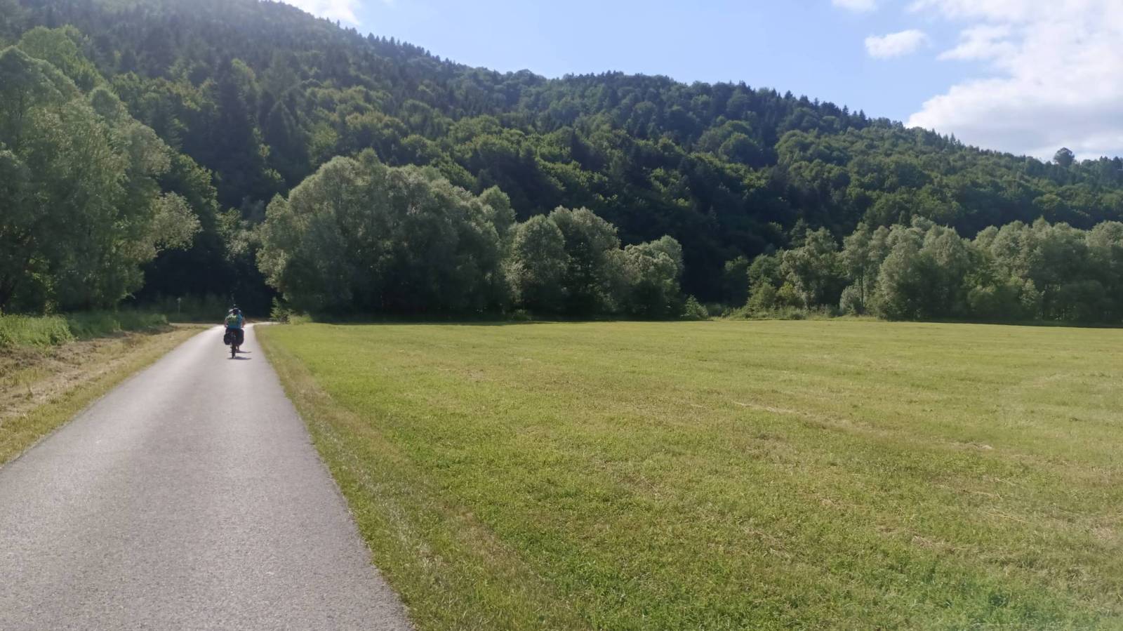 Zdjęcie 6