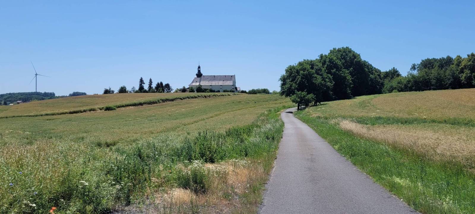 Zdjęcie 5