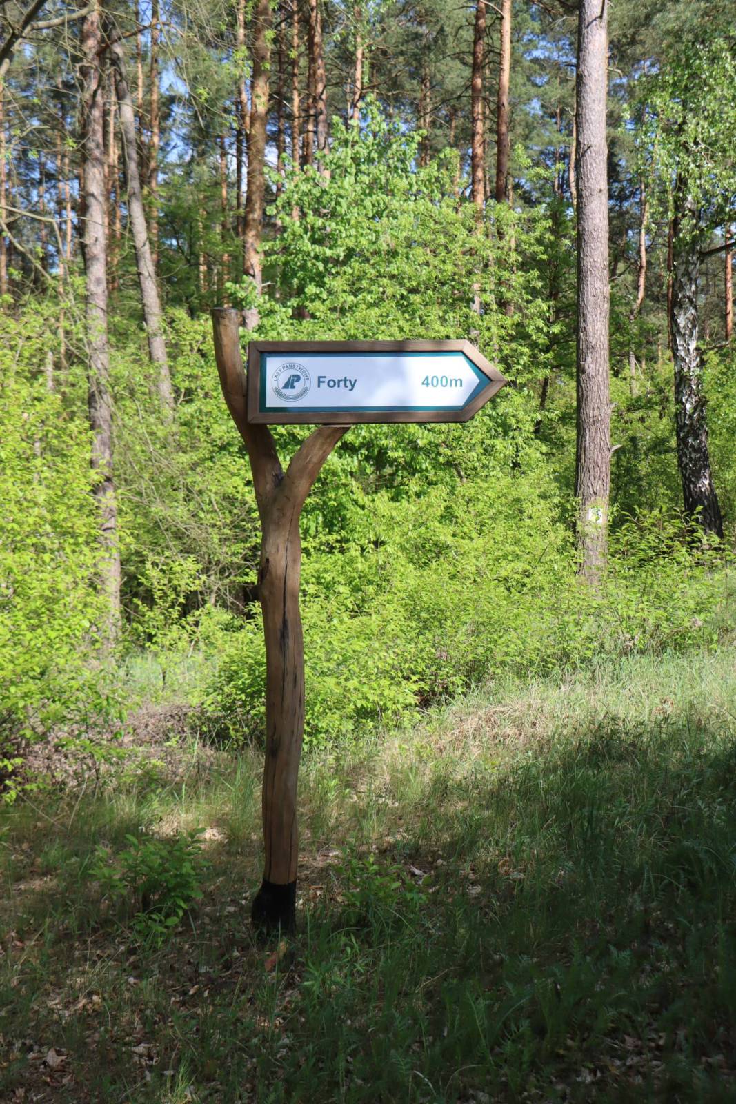 Zdjęcie 6
