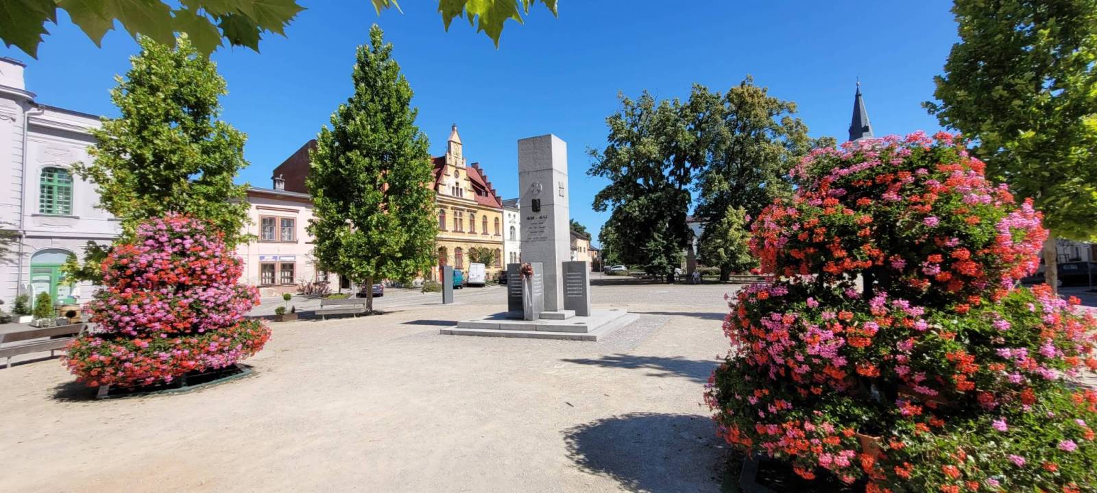 Zdjęcie 6