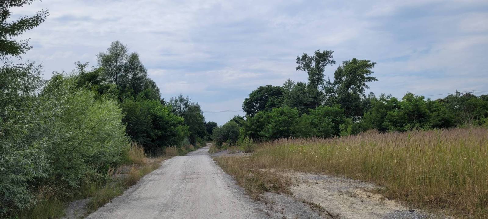 Zdjęcie 3